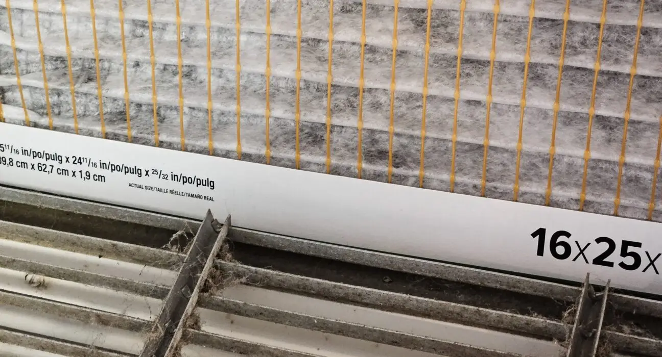 Black mold growing on air filter when changed.