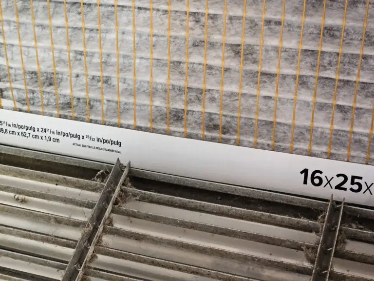 Black mold growing on air filter when changed.