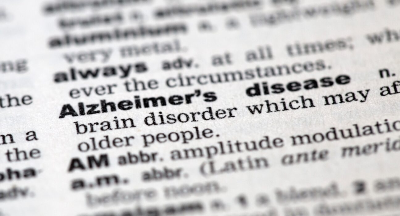 Dictionary details