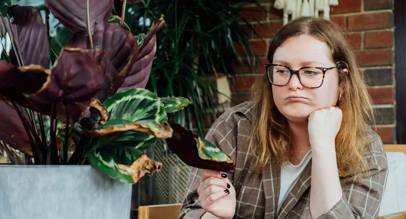 Frustrated upset woman examining dried foliage of Calathea plant. Houseplants diseases.