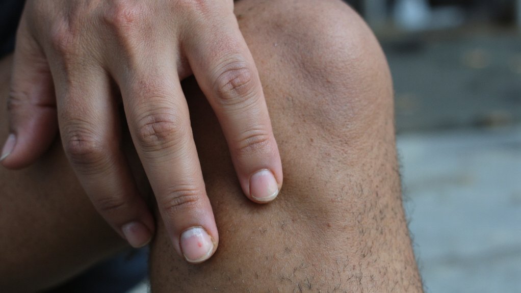 calcium bone muscle nerve